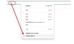 1步搞定：新版谷歌浏览器显示http和www